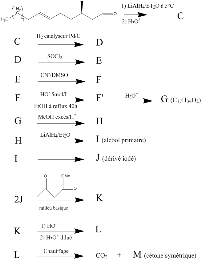 ex1