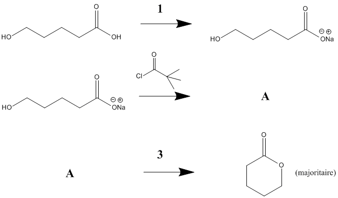 synthese delta-valerolactone